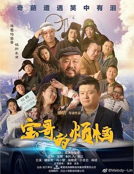 宝哥的烦恼海报