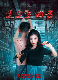 迷途追凶者海报