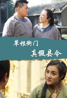 草根衙门之真假县令海报