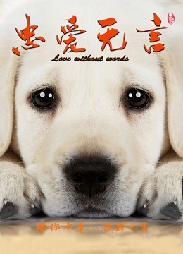 忠爱无言海报