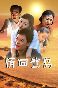情回鹭岛海报