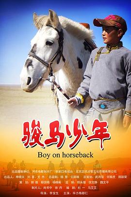 骏马少年海报