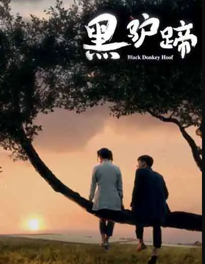 黑驴蹄海报
