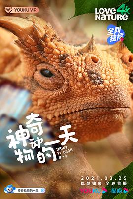 神奇动物的一天 第一季海报