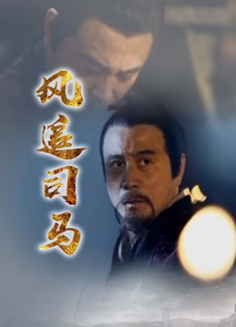 风追司马海报