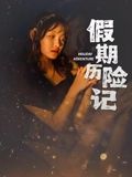 假期历险记海报