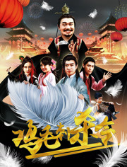 鸡毛刺杀令海报