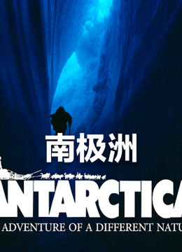 南极洲海报