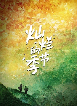 灿烂的季节海报