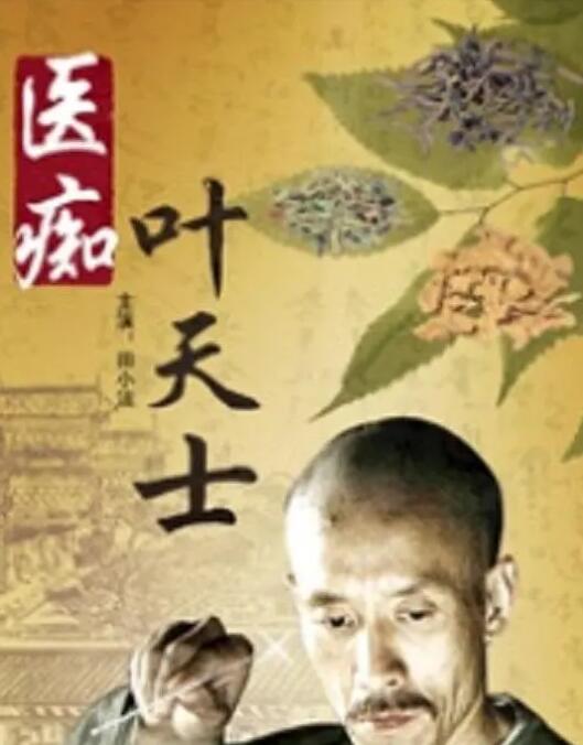 医痴叶天士海报