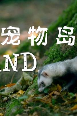 宠物岛海报