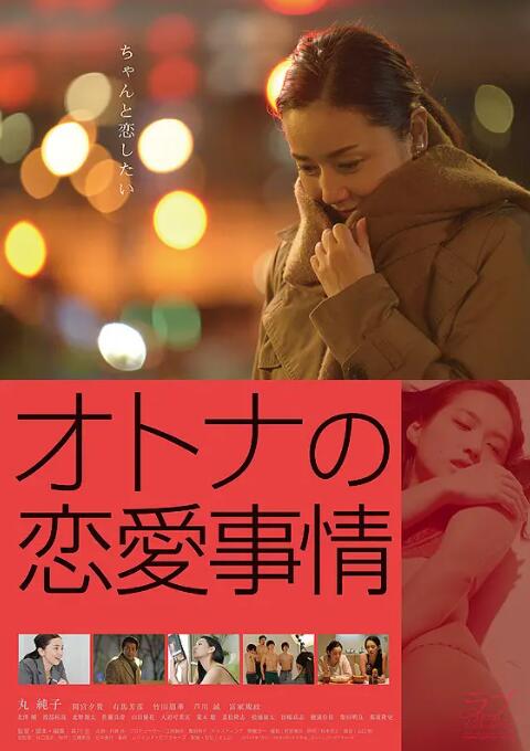 成年人的爱情故事海报