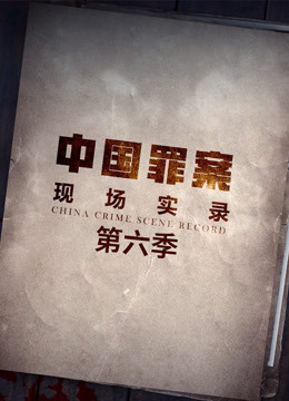 罪案现场实录 第六季海报