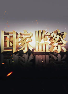 国家监察海报