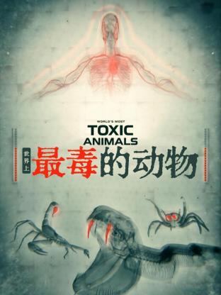 世界上最毒的动物海报