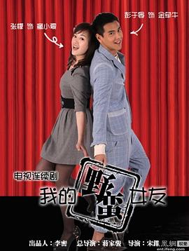 我的野蛮女友海报