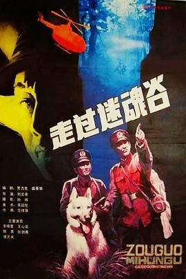 走过迷魂谷海报
