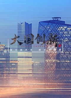大国创新海报
