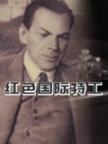 红色国际特工海报