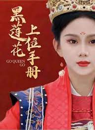 黑莲花上位手册海报