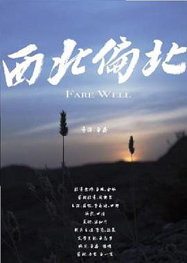 西北偏北（普通话）海报