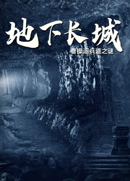 地下长城海报