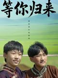等你归来海报
