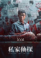 私家侦探海报