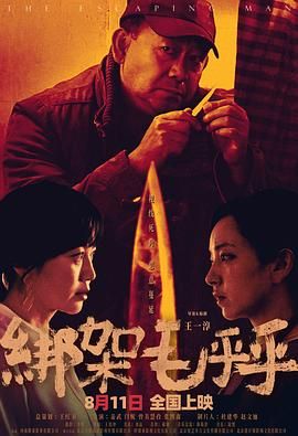 绑架毛乎乎海报