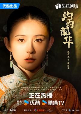 灼灼韶华海报