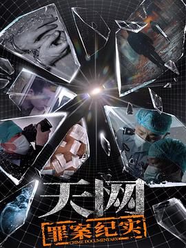 天网：罪案纪实海报