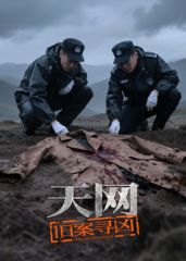 天网：旧案寻凶海报