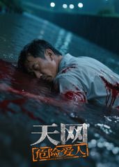 天网：危险爱人海报