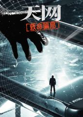 天网：致命骗局海报