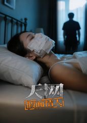 天网：假面情人海报