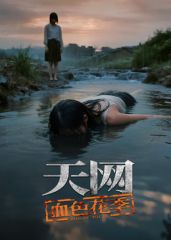 天网：血色花季海报