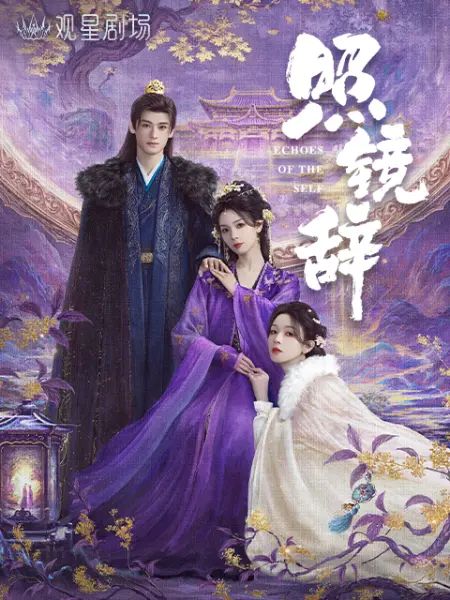 照镜辞海报