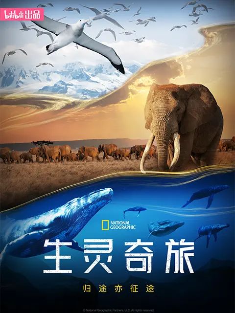 生灵奇旅海报