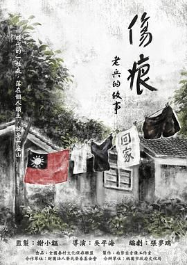 伤痕——老兵的故事海报