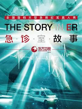 急诊室故事 第一季海报