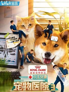 小主安康-宠物医院3海报
