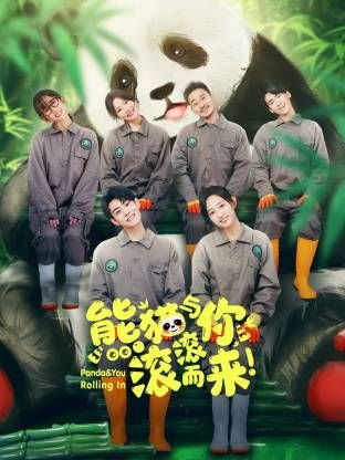 熊猫与你,滚滚而来!海报