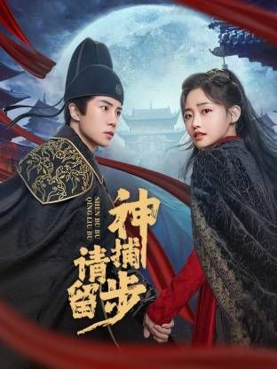 神捕请留步海报