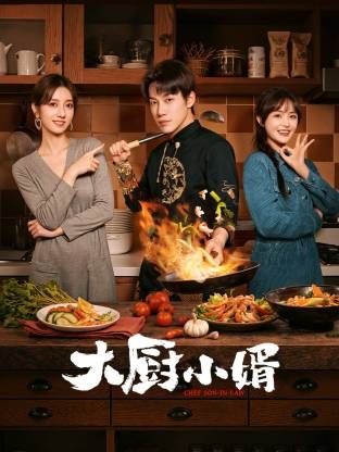 大厨小婿海报
