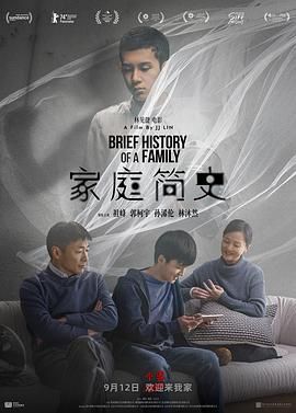 家庭简史海报