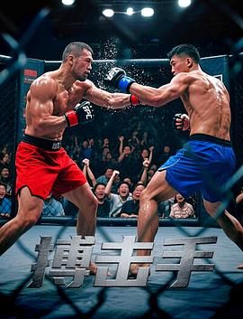 搏击手海报